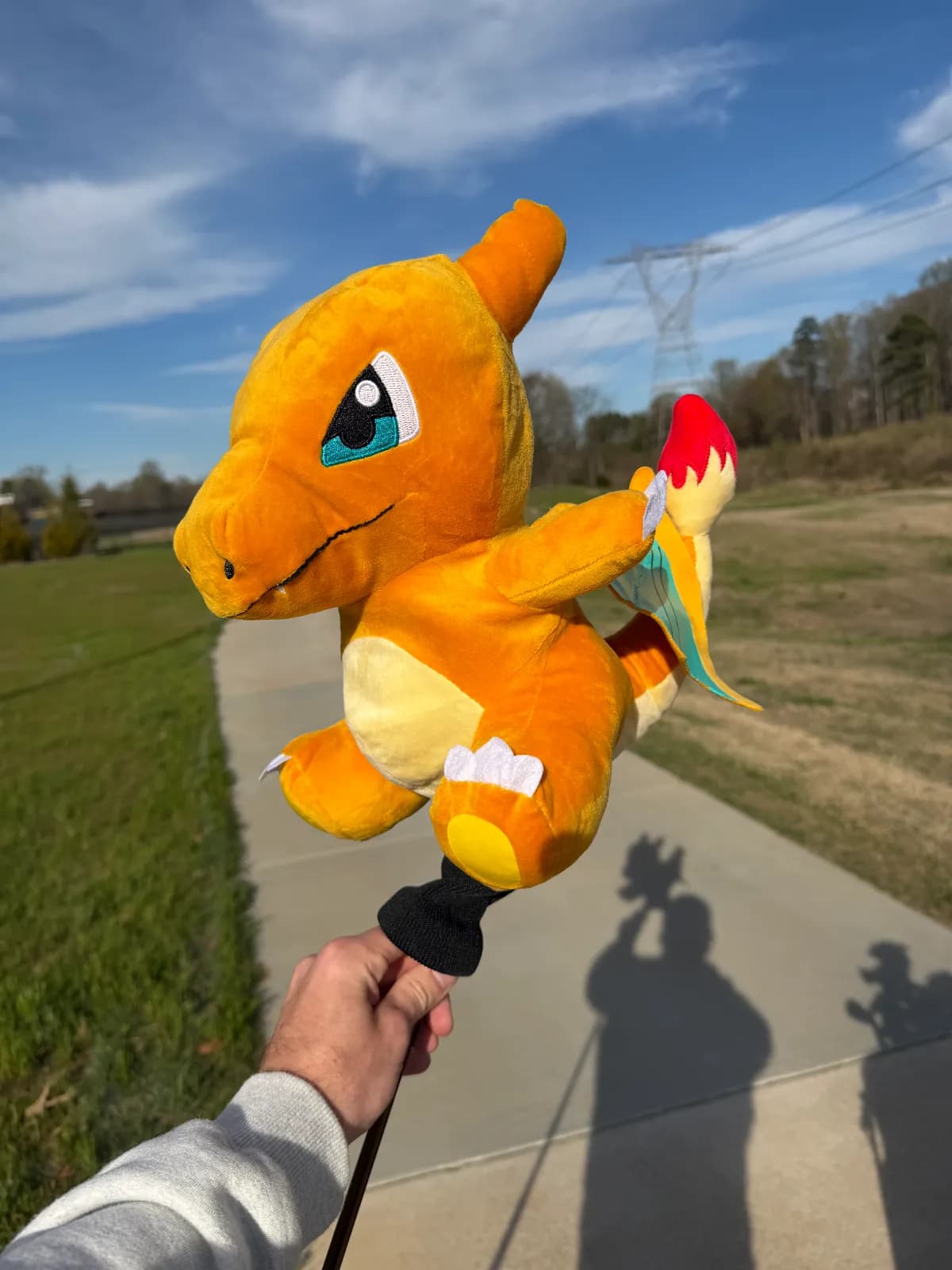 The Zard